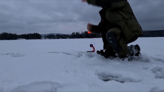 РЫБАЛКА В ЯНВАРЕ. (ЖЕРЛИЦЫ,БАЛАНСИР,БОКОВОЙ КИВОК)