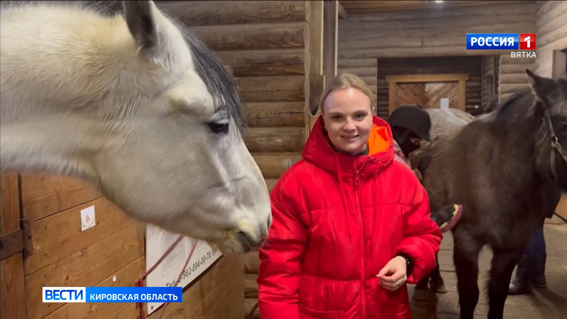 В спортшколе в Белой Холунице появились молодые лошадки вятской породы