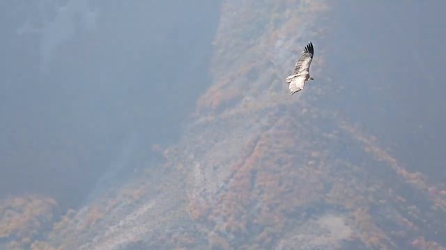 Дагестан. Клиентское мероприятие 2023