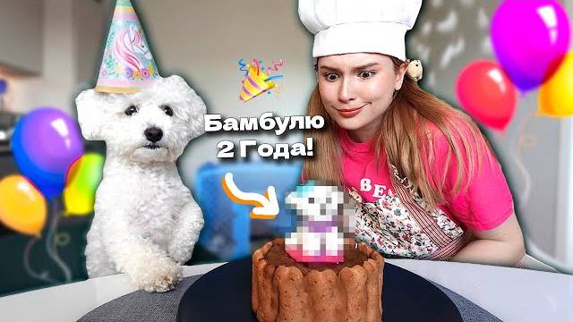 ЭТО ЛИАНА ПРИГОТОВИЛА ТОРТ СОБАКЕ, ДЕНЬ РОЖДЕНИЯ БАМБУЛЯ