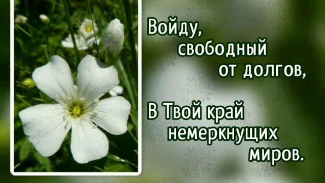 74 О Иисус, Твоя любовь (-)