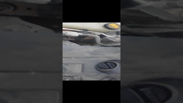 1000059600.mp4