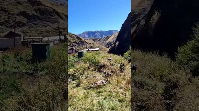 Экоферма Кунцалу с точки зрения туриста из Питера