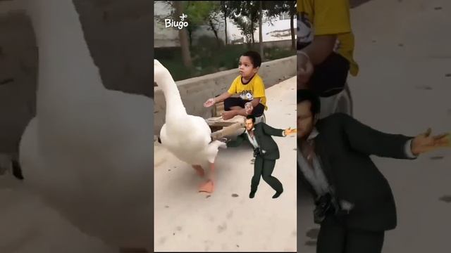 Shareide on duck funny video #cutebaby #funnyvideo