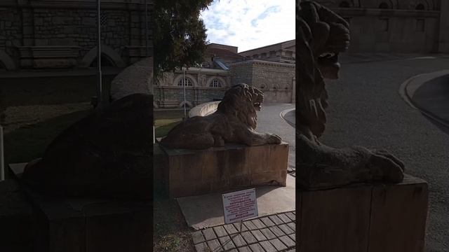 Гуляем /Ессентуки/грязелечебница/львы