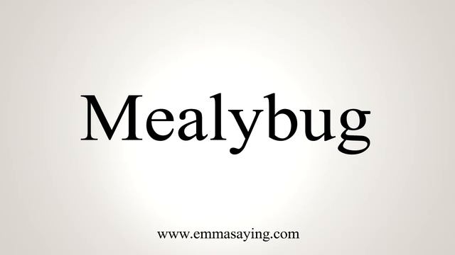 How To Say Mealybug