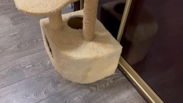 Кошачий домик