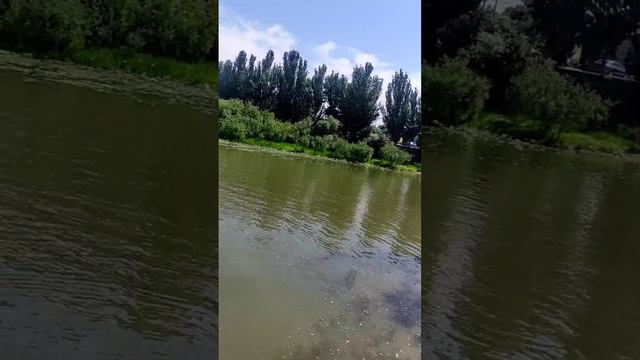 Астрахань набережная центр