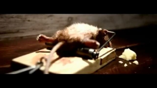 Mouse Trap Survivor Cheese Commercial HD 1080