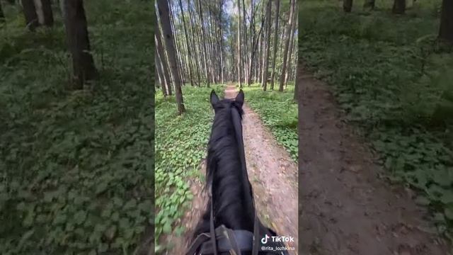 От первого лица