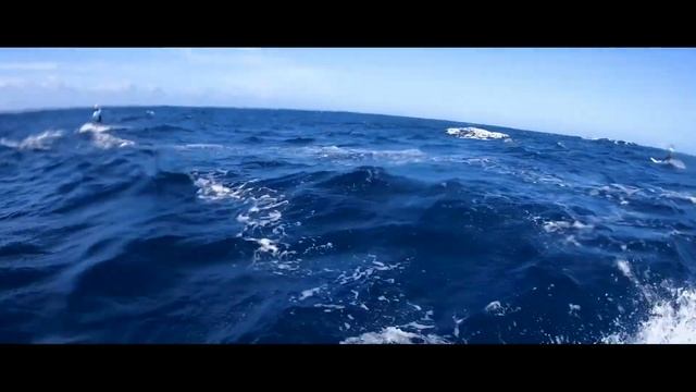 Mauritius-Reunion kite crossing November 2019. English