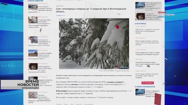 Заморозки, зарплата 800 000 рублей и компенсация за поеденную мышами посудомойку