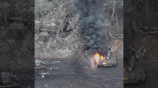 video_2025-01-15_21-04-22