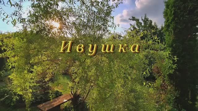 ИВУШКА