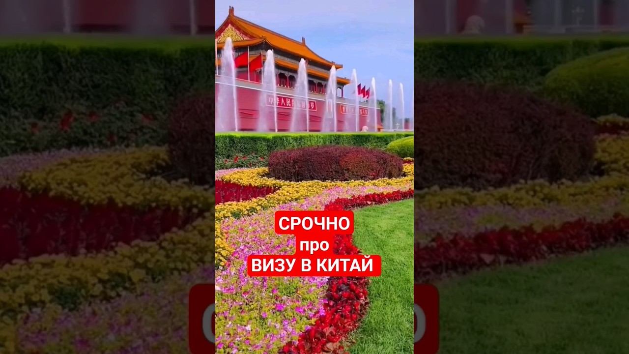 Виза в Китай за 2 часа #бизнесскитаем #china #rmb
