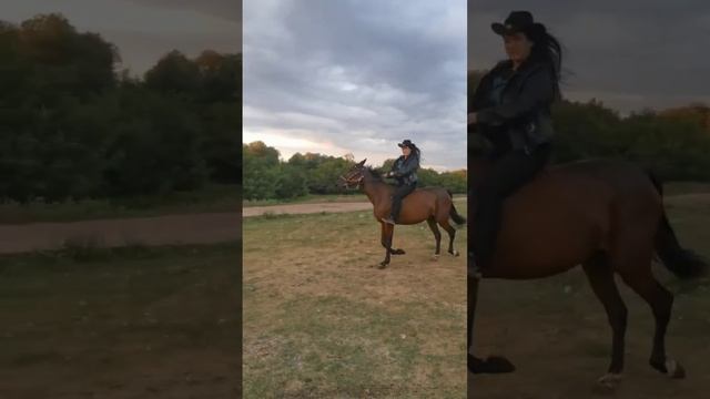 Как всегда на коне 💪