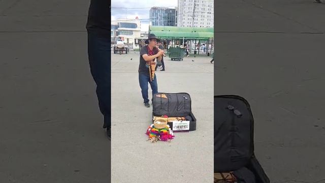 Уличный музыкант из Новосибирска