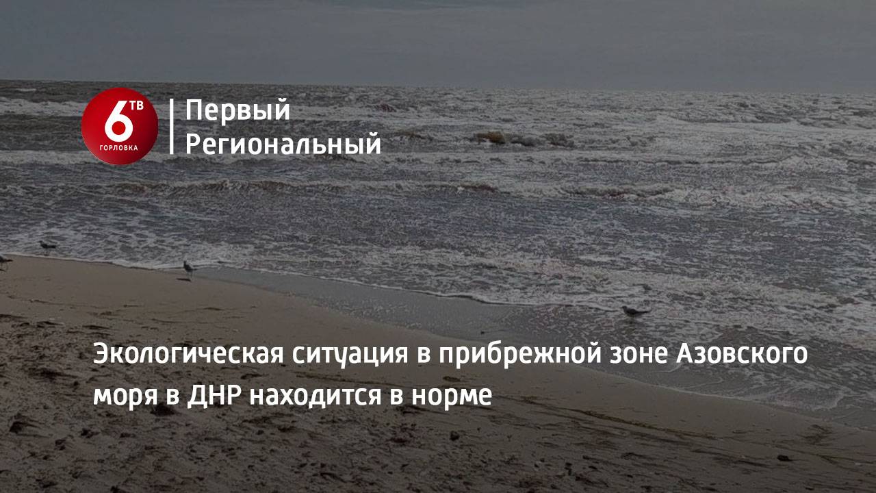 Экологическая ситуация в прибрежной зоне Азовского моря в ДНР находится в норме