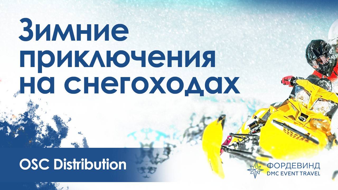 Катание на снегоходах