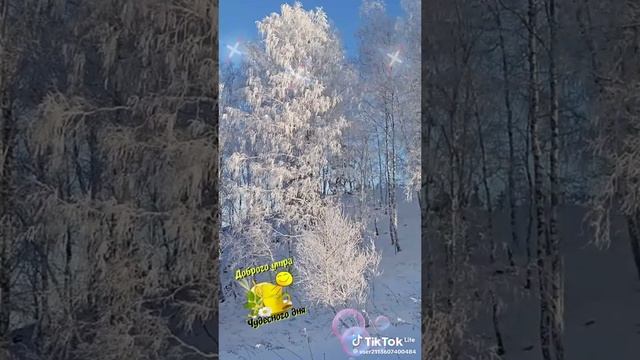 308a10c8e5e3c15a86c379a6c3c4ec31_1736910113227.mp4