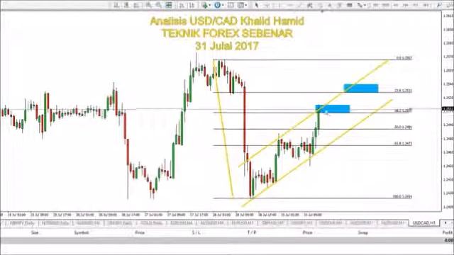 Belajar Forex Trading Dari Analisis UsdSad Khalid Hamid