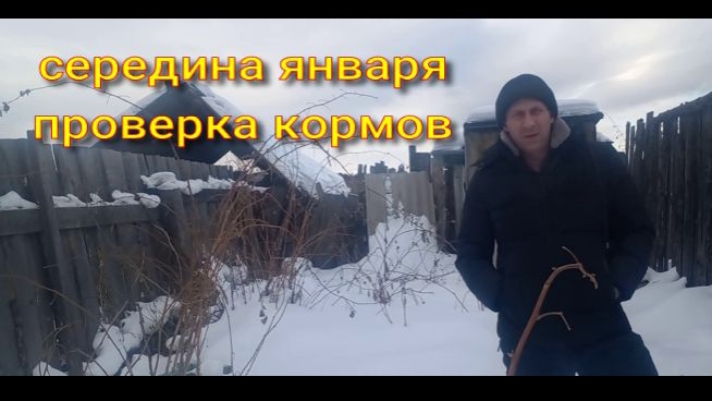 середина января проверка кормов