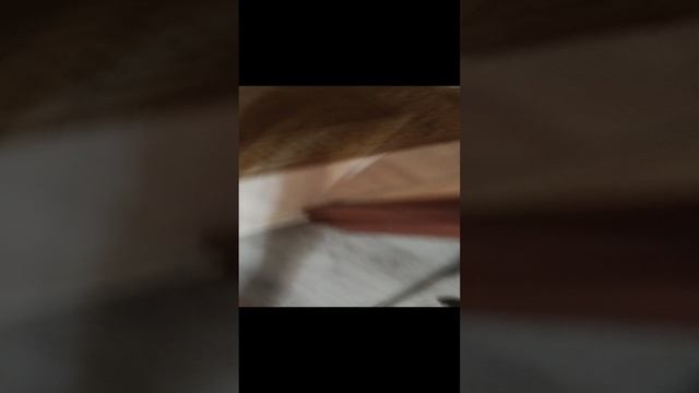 Построили СЕКРЕТНЫЕ КОМНАТЫ, Чтобы Поймать САНТУ !