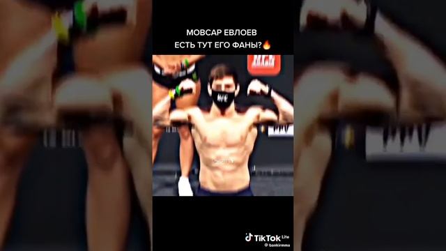 UFC зрелище