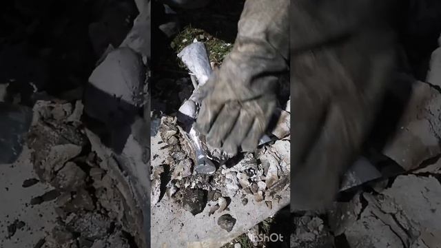 Скульптура быка