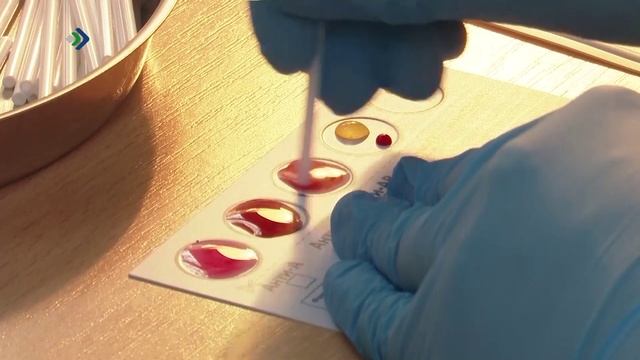 Доноры крови, её компонентов и костного мозга получили дополнительные льготы