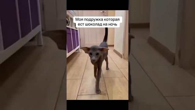 У кого также ?!😁