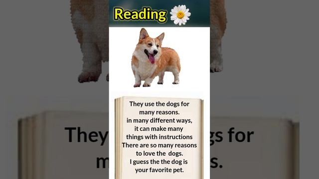 Reading ,Dog's life|  Reading english