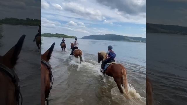 прогулка на берег Волги , группа