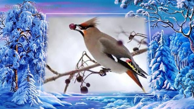 Мультяшное появление птиц
