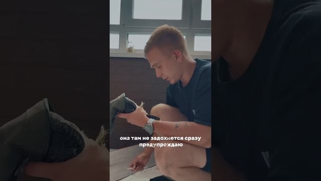 Как сделать укол любой птице. Лечим сокола от болезни Ньюкасла