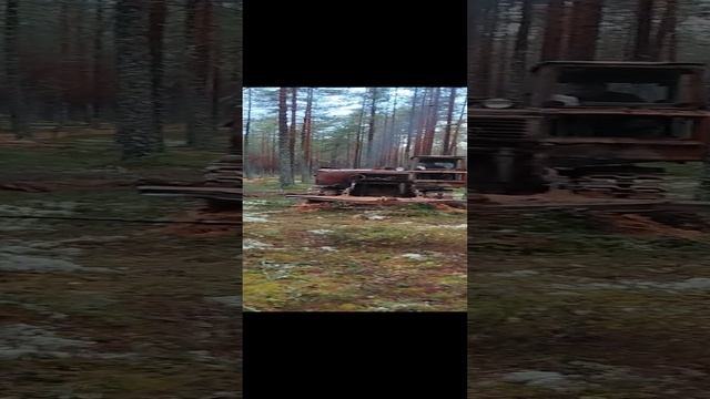 ТДТ 55 в работе