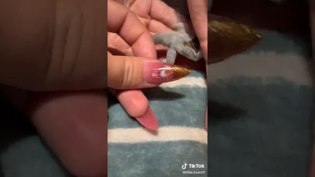 сбрасывает кожу