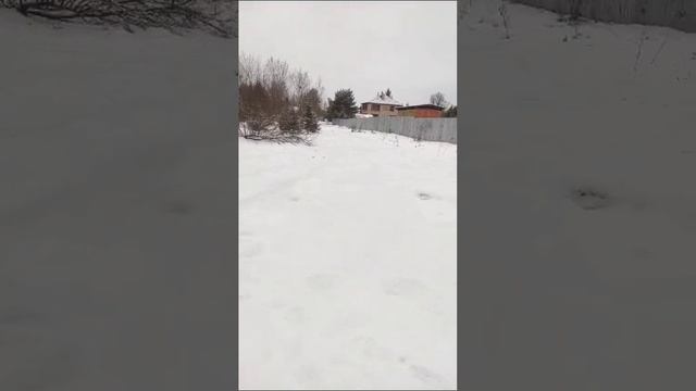 д. Блазново 50:18:0070216:3145