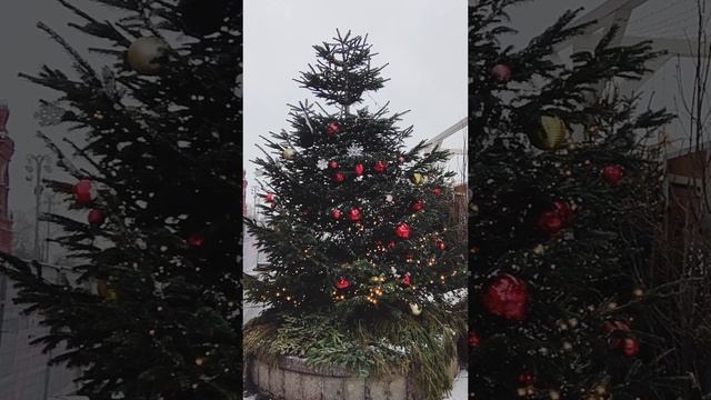 Фестиваль "Китайский новый год" в Москве. Открытие 28 января. 🎄