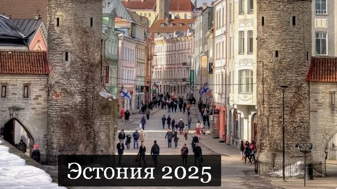 ТАРО #Аврора #гадание  Эстония 2025