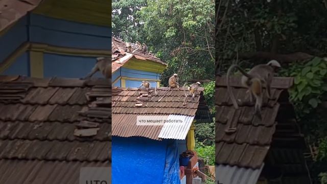 Жизнь в путешествии