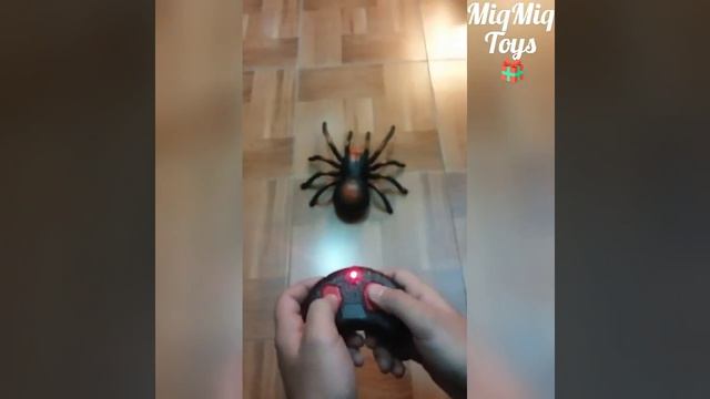 Horümcək radio idarə etməynən / Паук на радиоуправлениeм