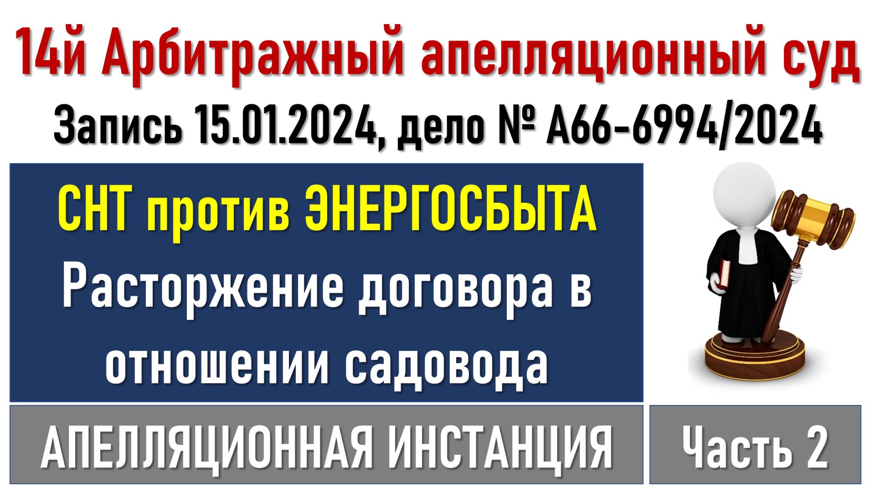 Заседание в Арбитражном апелляционном суде. Часть 2.