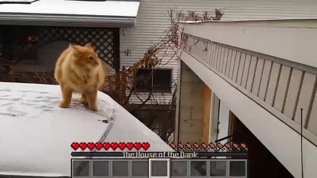 Попытка не пытка