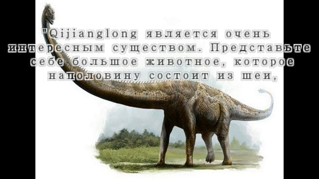 Цицзянлон  Qijianglong guokr