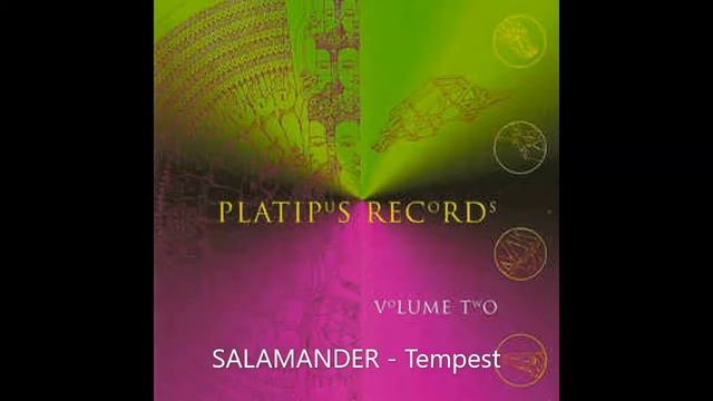 SALAMANDER   Tempest Union Jack Remix #trance #oldskool #platipusrecords #1995