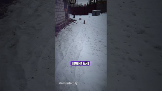 Зимний vibe