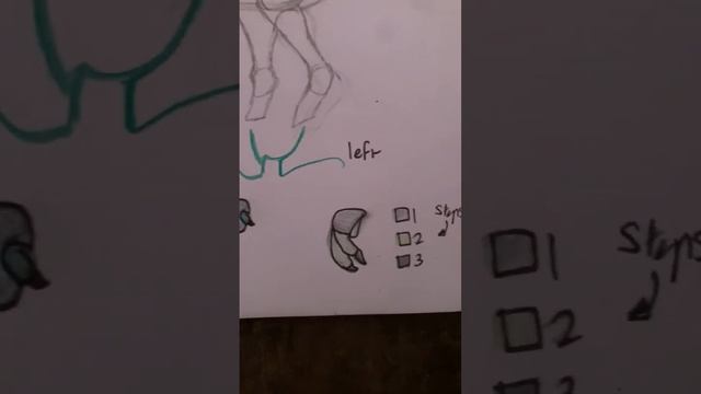 How to draw a T Rex