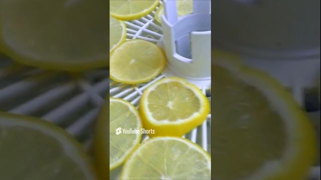 Cушу лимон в сушилке