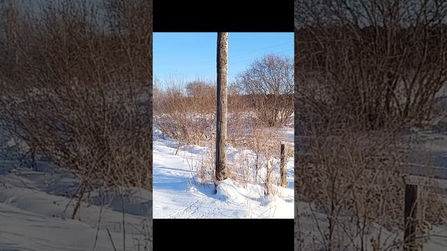 Зима в заброшенной деревне!